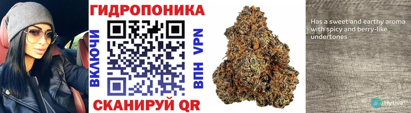Виды наркоты Онега Alpha-PVP  АМФЕТАМИН  ГАШ  Галлюциногенные грибы  Мефедрон  Бошки Шишки 