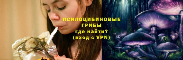винт Осинники