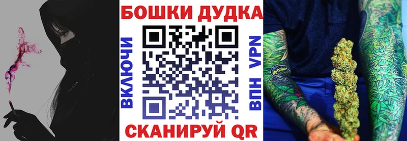 Конопля сатива  закладка  Онега 